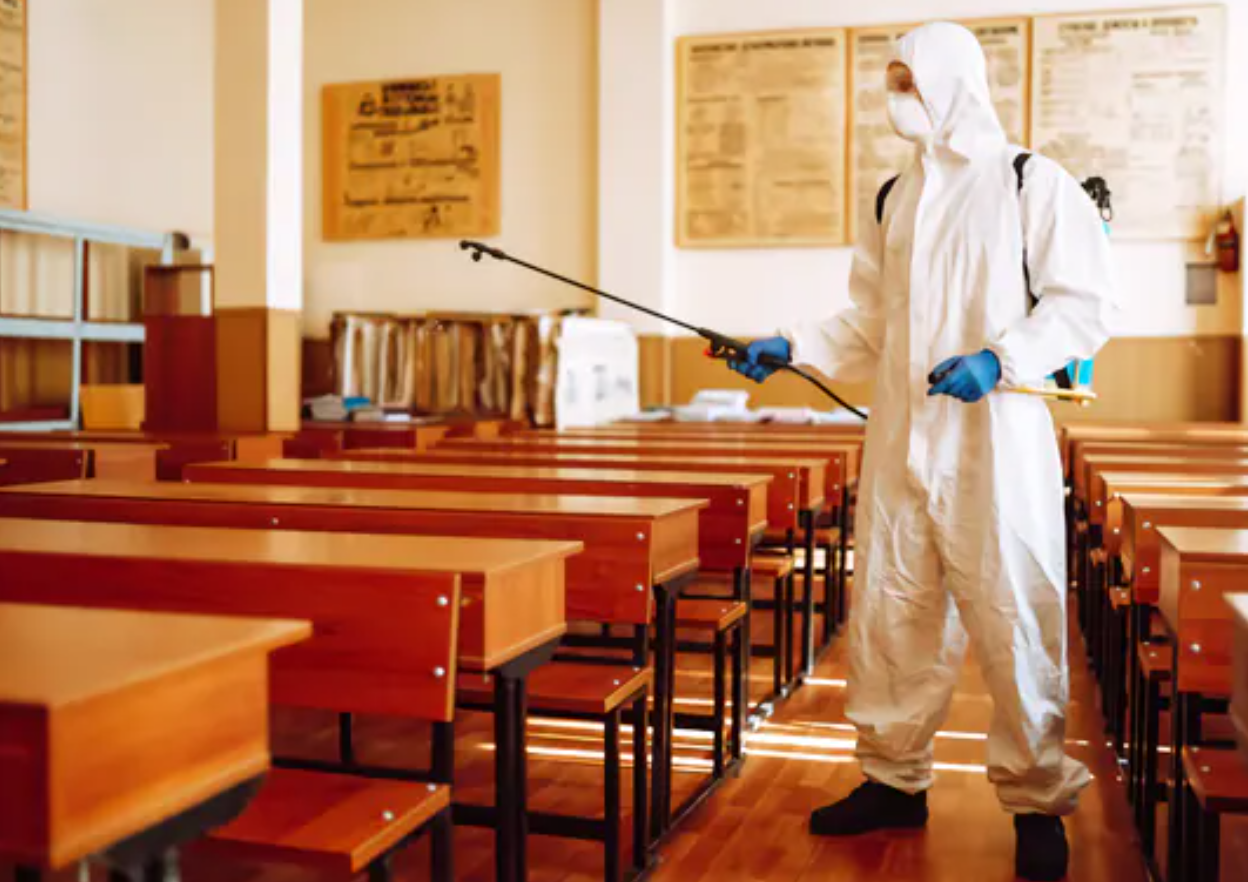 School Pest Control – Hind Pest Control