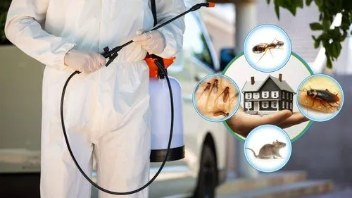 General Pest Control In Nagpur