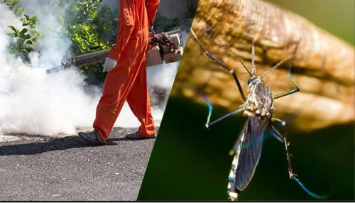 Mosquito Pest Control In India