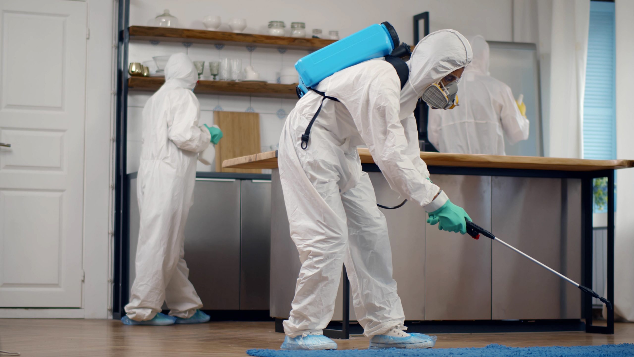 Pest Control Services In India